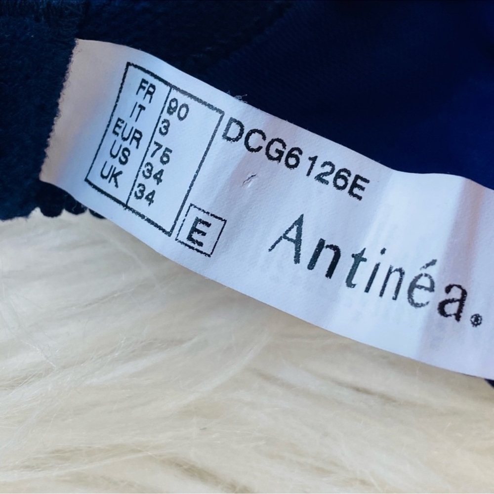 NWOT ANTINÉA BY LISE CHARMEL Luxury Blue Floral Cherry Lace Bra 34DD - Picture 5 of 7